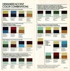 1981 Buick Exterior Colors Chart-05-06.jpg